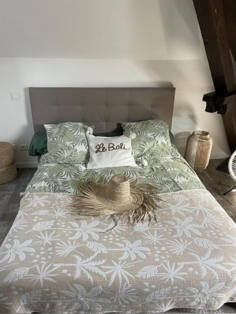 Le Bali Daire Besançon Dış mekan fotoğraf